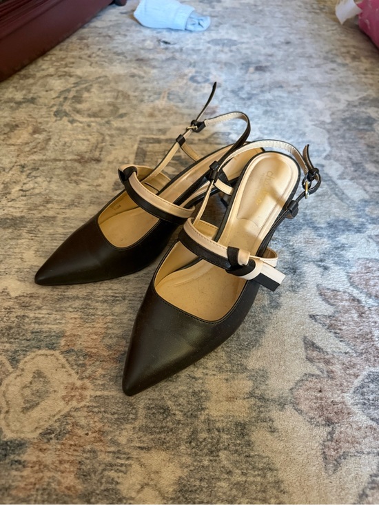 Charles & Keith Shoes - Pointed Toe Slingback Pumps in Black and Cream